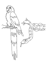 A coloring page of go diego go